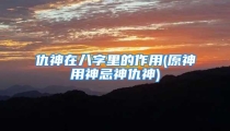 仇神在八字里的作用(原神用神忌神仇神)