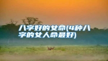 八字好的女命(4种八字的女人命最好)