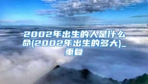 2002年出生的人是什么命(2002年出生的多大)_重复
