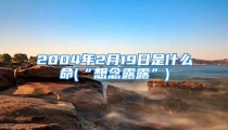2004年2月19日是什么命(“想念露露”)