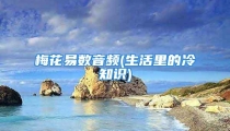 梅花易数音频(生活里的冷知识)