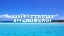 2021年牛宝宝起名(2021年王姓氏取名男孩)
