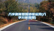 八字测算婚姻感情运势(八字分析婚姻)