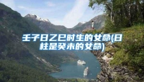 壬子日乙巳时生的女命(日柱是癸未的女命)