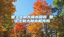 壁上土和大林木和吗 壁上土和大林木相克吗