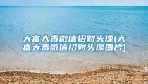 大富大贵微信招财头像(大富大贵微信招财头像图片)