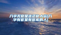 八字无官星走正官大运(八字有官星有官库的人)