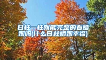日柱一柱就能完整的看婚姻吗(什么日柱婚姻幸福)