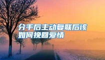 分手后主动复联后该如何挽回爱情