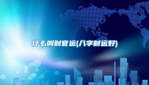 什么叫财官运(八字财运好)