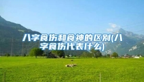 八字食伤和食神的区别(八字食伤代表什么)
