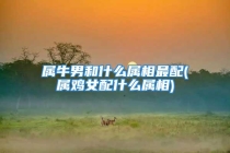 属牛男和什么属相最配(属鸡女配什么属相)