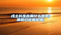 戊土长生在寅什么意思(庚辰日柱看配偶)