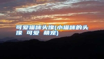 可爱猫咪头像(小猫咪的头像 可爱 萌宠)