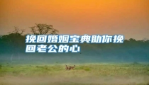 挽回婚姻宝典助你挽回老公的心
