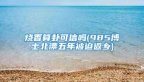 烧香算卦可信吗(985博士北漂五年被迫返乡)