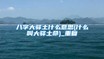 八字大驿土什么意思(什么叫大驿土命)_重复