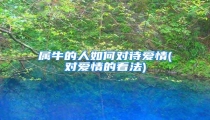 属牛的人如何对待爱情(对爱情的看法)
