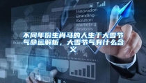 不同年份生肖马的人生于大雪节气命运解析,大雪节气有什么含义