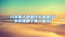 八字贵人命是什么意思(八字命理哪个贵人最大)