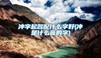 冲字起名配什么字好(冲是什么音的字)