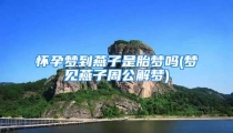怀孕梦到燕子是胎梦吗(梦见燕子周公解梦)