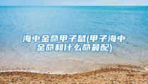 海中金命甲子鼠(甲子海中金命和什么命最配)
