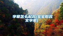 偲字辈怎么起名(宝宝取名文字辈)