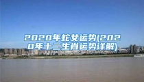2020年蛇女运势(2020年十二生肖运势详解)