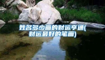 姓名多少画的财运亨通(财运最好的笔画)