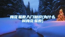 梅花易数入门知识(为什么叫梅花易数)