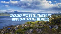 2020年2月生肖虎运气如何(2020年生肖运)