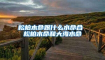 松柏木命跟什么水命合 松柏木命和大海水命