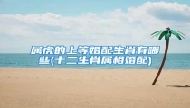 属虎的上等婚配生肖有哪些(十二生肖属相婚配)