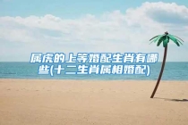 属虎的上等婚配生肖有哪些(十二生肖属相婚配)