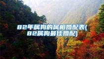 82年属狗的属相婚配表(82属狗最佳婚配)