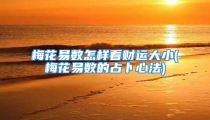 梅花易数怎样看财运大小(梅花易数的占卜心法)