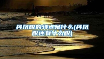 丹凤眼的特点是什么(丹凤眼还有什么眼)