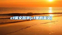 cf英文名字(cf里的英文)