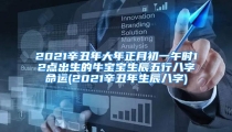 2021辛丑年大年正月初一午时12点出生的牛宝宝生辰五行八字命运(2021辛丑年生辰八字)