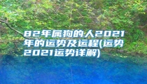 82年属狗的人2021年的运势及运程(运势2021运势详解)
