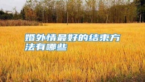婚外情最好的结束方法有哪些