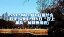 2021年12月6日是什么日子(安徽12月6日“云上相约”迪拜世博会)