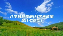 八字日柱孤辰(八字天孤星是什么意思)