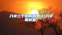 八字三个财库的男人(八字看财富)