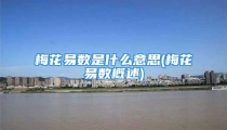 梅花易数是什么意思(梅花易数概述)