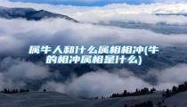 属牛人和什么属相相冲(牛的相冲属相是什么)