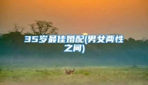 35岁最佳婚配(男女两性之间)