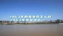1963年的兔女命怎么样 (1963年兔是啥命)