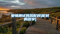 爱情测试姓名配对(配对的名字)